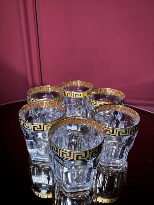 Whisky glass set "Safari Gold" 6 pcs