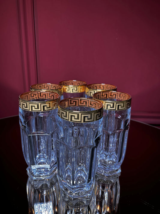 Long drink glass set "Safari Gold" 6 pcs