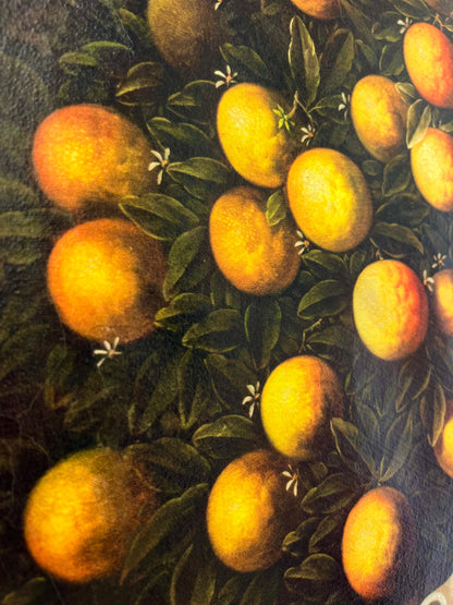 Frame Arance a Limone